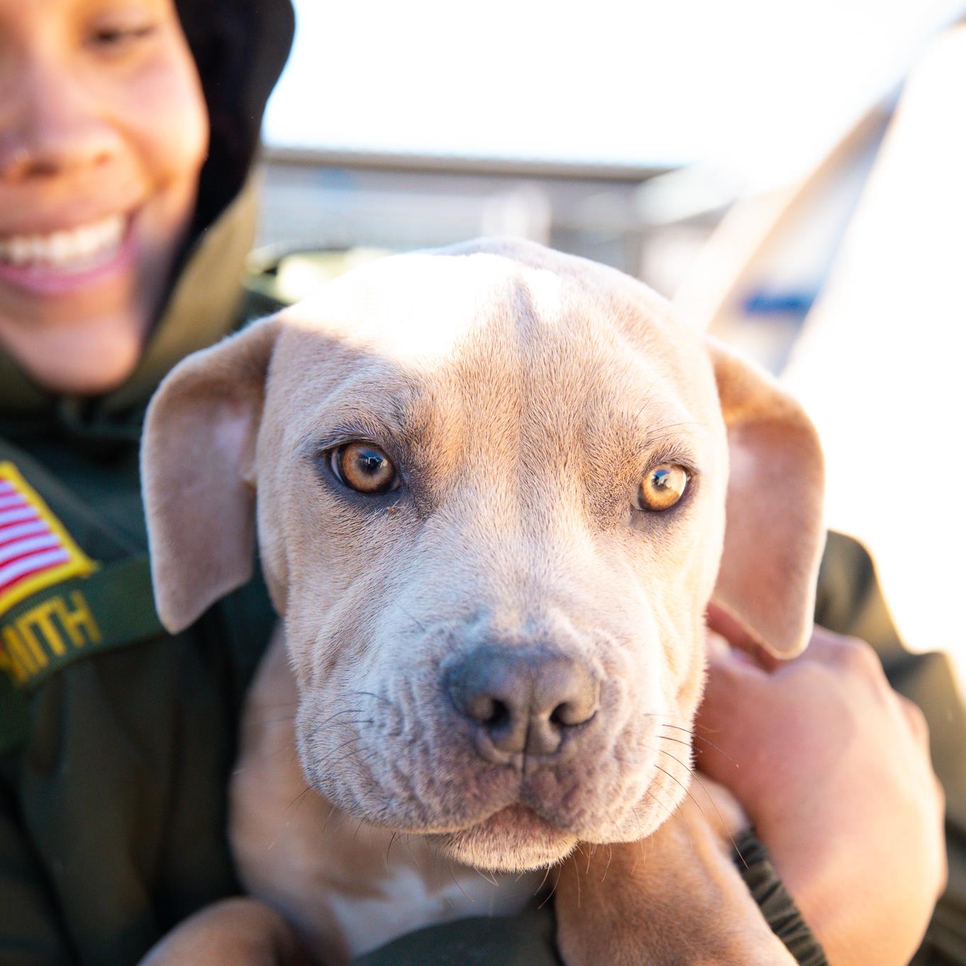 Animal-Control-w-Dog.jpeg